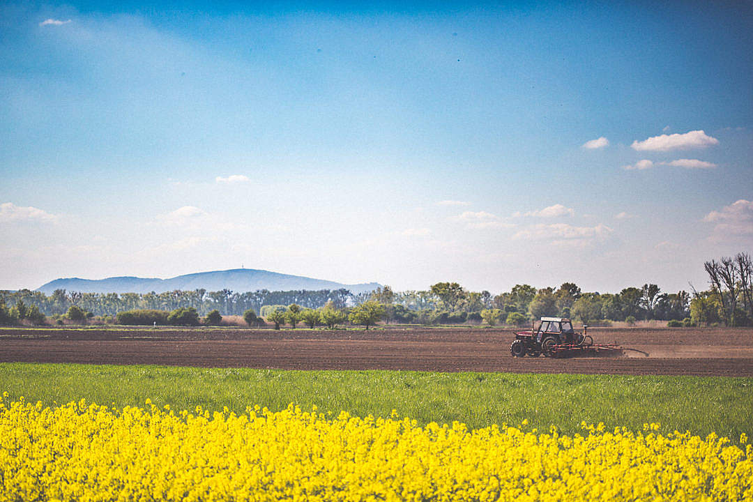 Ruralni razvoj