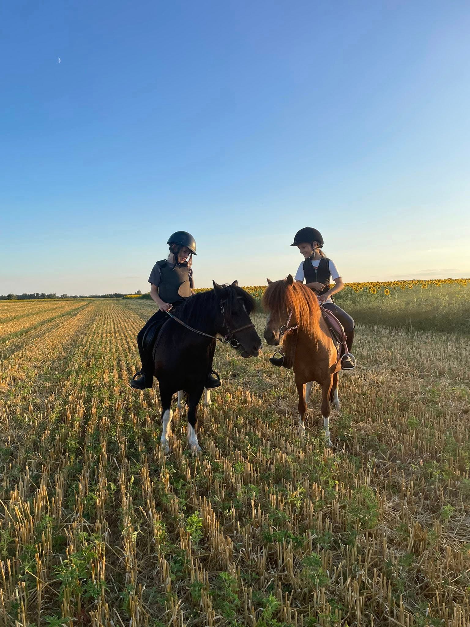 Konjički klub Hercules