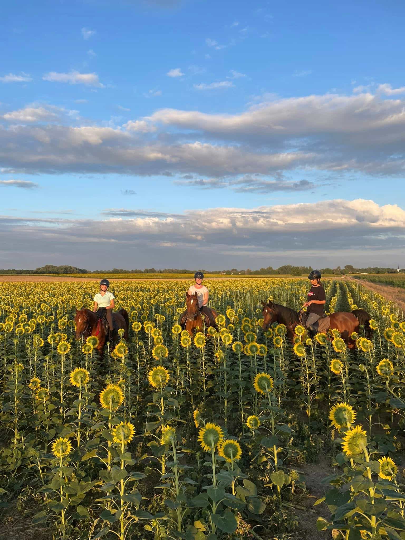 Izlet s konjima u Baranji