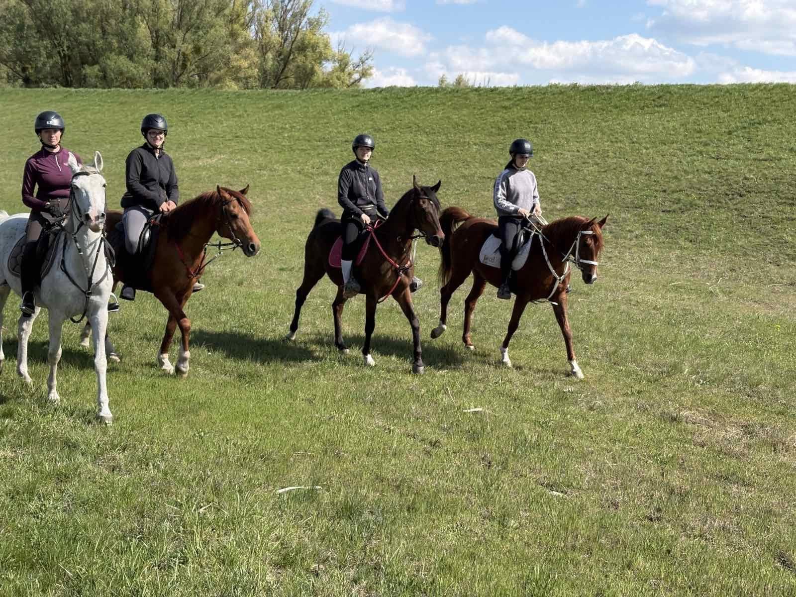 Terensko jahanje s vodičem