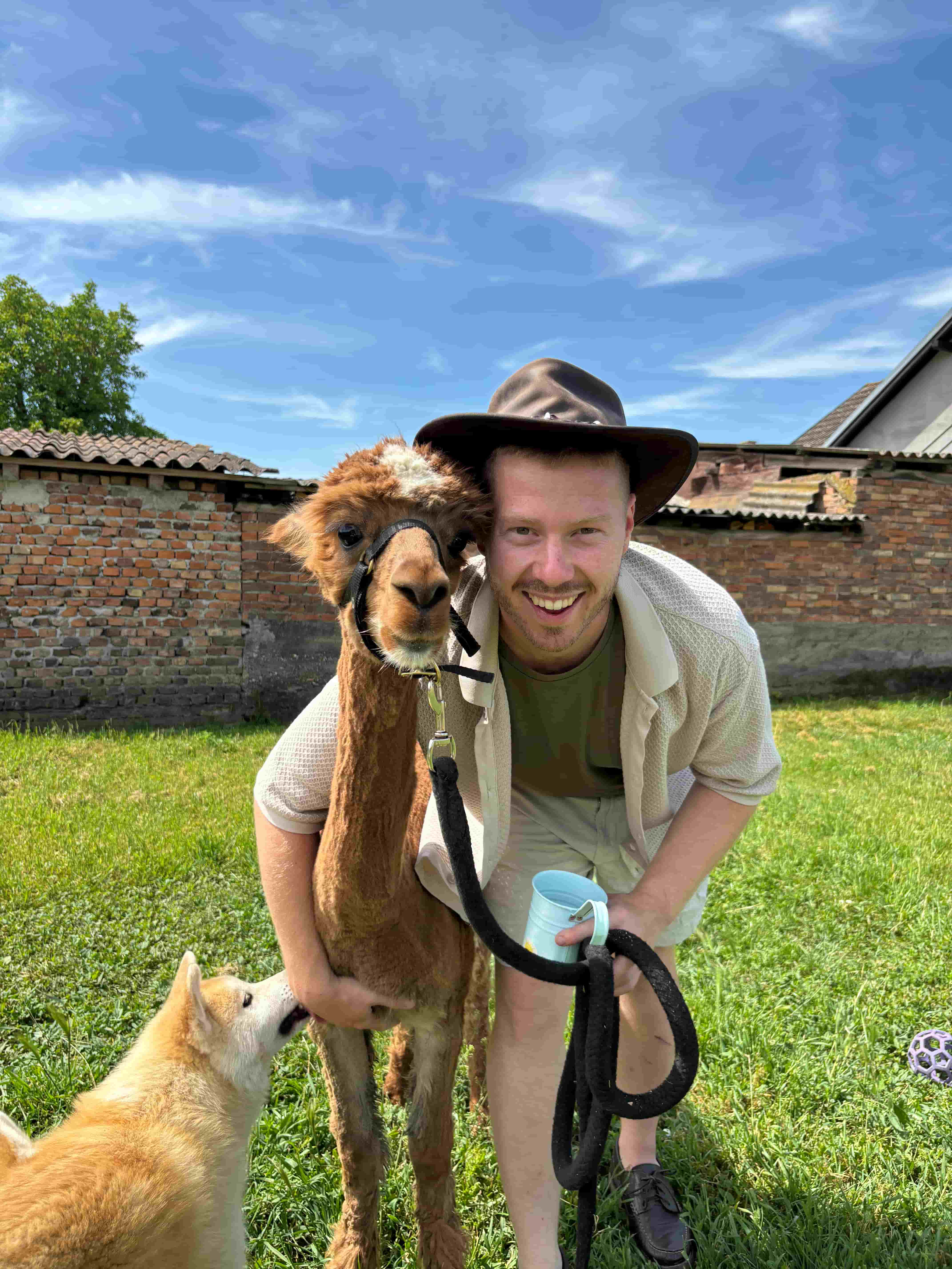 Alpake na Eponinoj farmici u Normancima